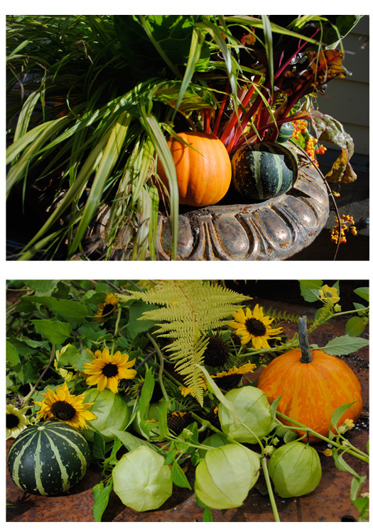 fall foliage blog 3 10-10