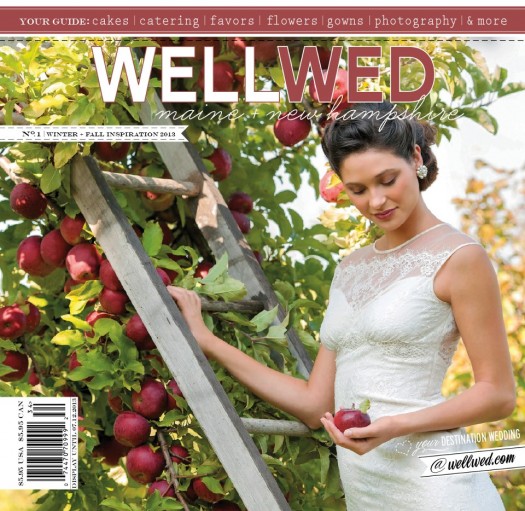 WellWed 2013 Cover